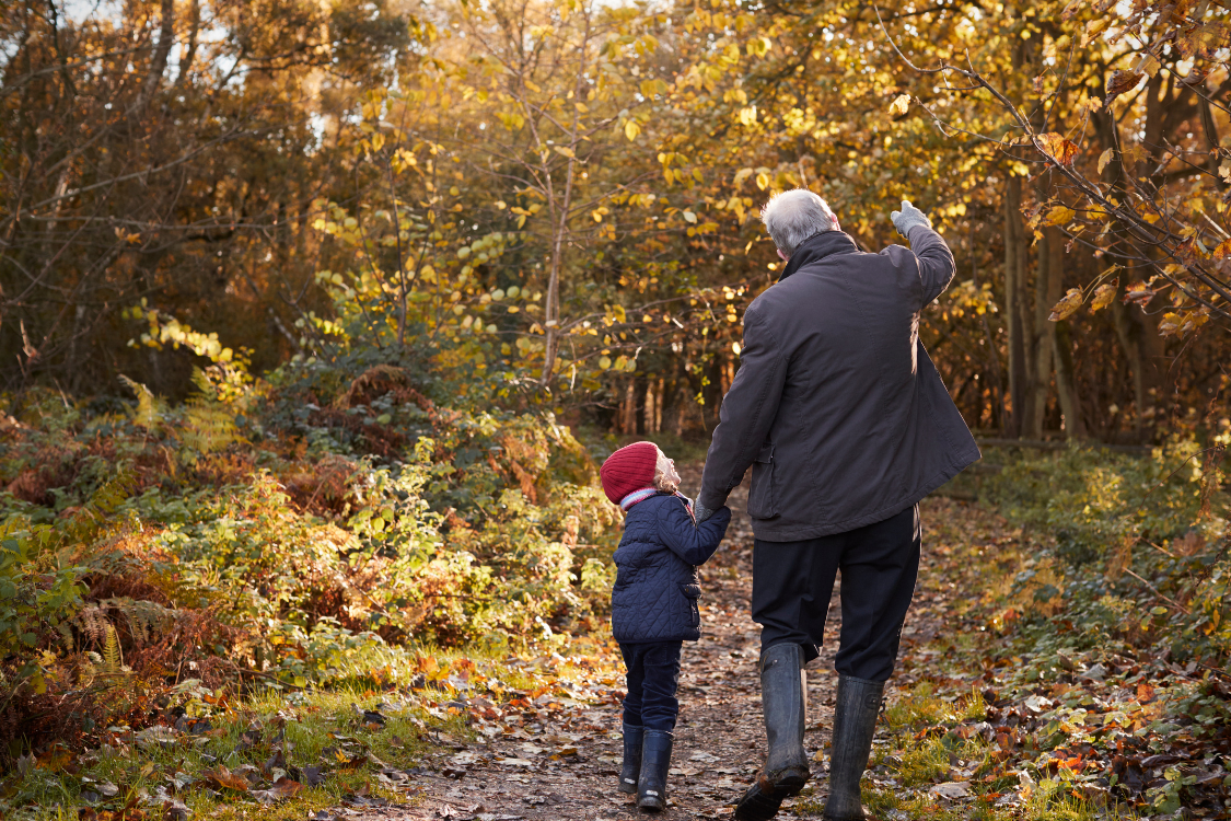 Herfst: een seizoen om te omarmen