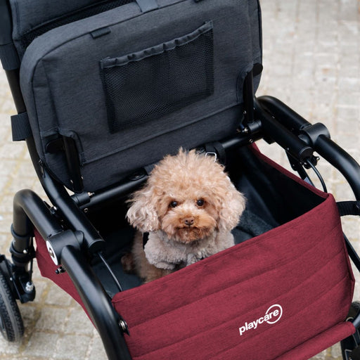 Cranberryrood Citywalker Storage & Pet Carrier van Playcare